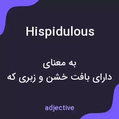 معنی hispidulous به فارسی معنی hispidulous به فارسی