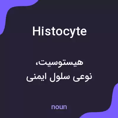 معنی histocyte به فارسی معنی histocyte به فارسی