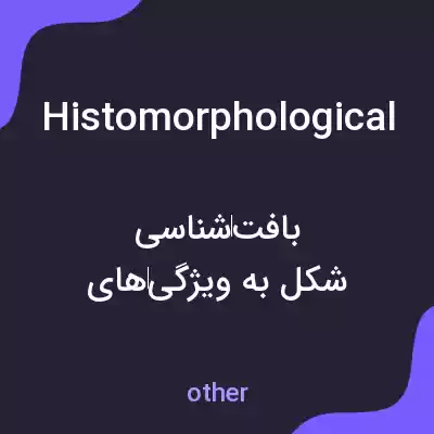 معنی histomorphological به فارسی معنی histomorphological به فارسی