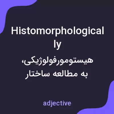 معنی histomorphologically به فارسی معنی histomorphologically به فارسی