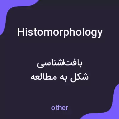 معنی histomorphology به فارسی معنی histomorphology به فارسی