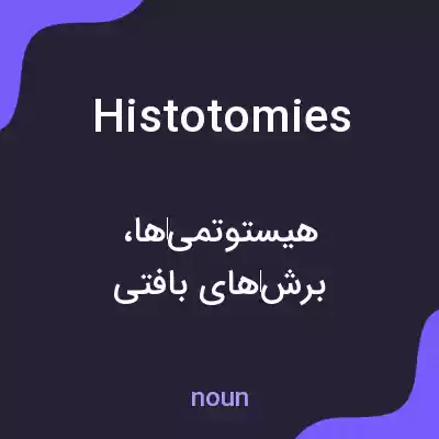 معنی histotomies به فارسی معنی histotomies به فارسی