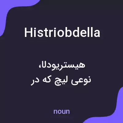 معنی histriobdella به فارسی معنی histriobdella به فارسی
