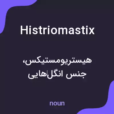 معنی histriomastix به فارسی معنی histriomastix به فارسی