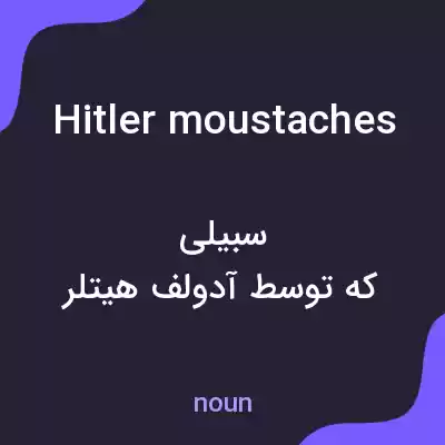 معنی hitler moustaches به فارسی معنی hitler moustaches به فارسی