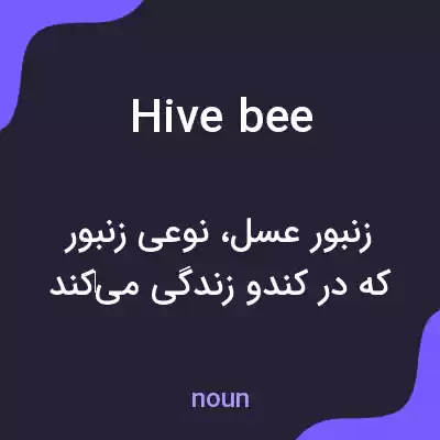 معنی hive bee به فارسی معنی hive bee به فارسی
