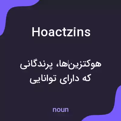 معنی hoactzins به فارسی
