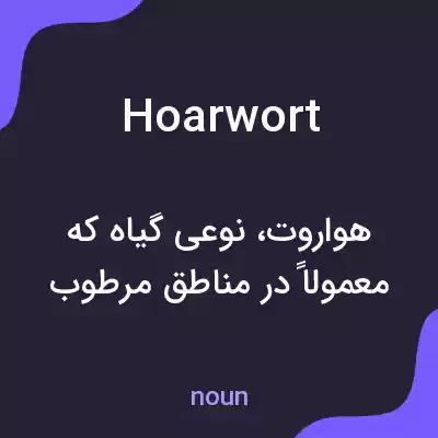 معنی hoarwort به فارسی