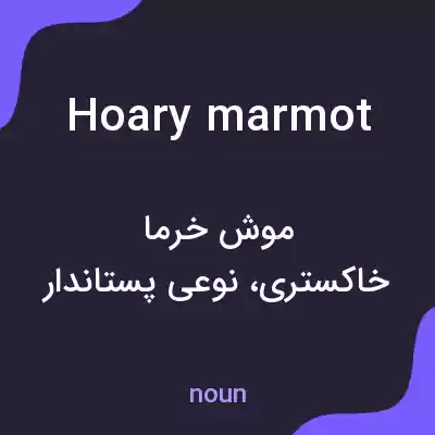 معنی hoary marmot به فارسی معنی hoary marmot به فارسی