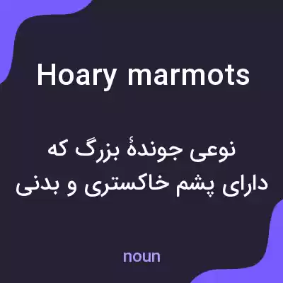 معنی hoary marmots به فارسی معنی hoary marmots به فارسی
