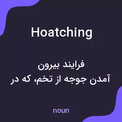 معنی hoatching به فارسی