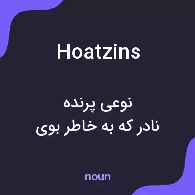معنی hoatzins به فارسی معنی hoatzins به فارسی