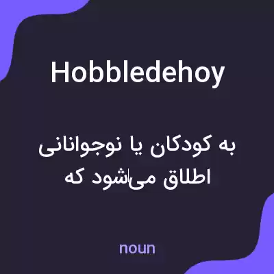 معنی hobbledehoy به فارسی معنی hobbledehoy به فارسی