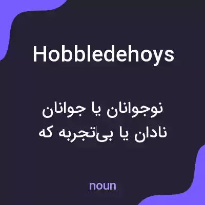 معنی hobbledehoys به فارسی معنی hobbledehoys به فارسی