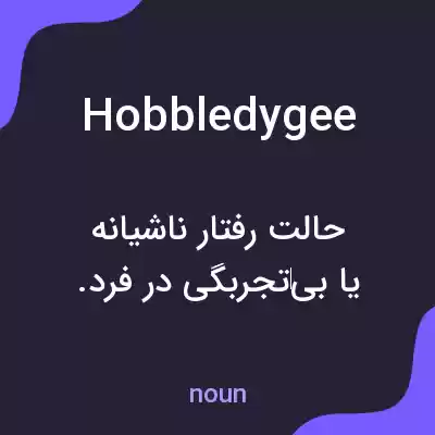 معنی hobbledygee به فارسی معنی hobbledygee به فارسی