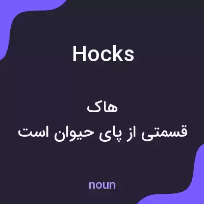 معنی hocks به فارسی معنی hocks به فارسی
