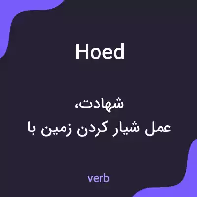 معنی hoed به فارسی معنی hoed به فارسی