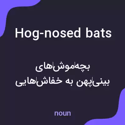 معنی hog-nosed bats به فارسی معنی hog-nosed bats به فارسی