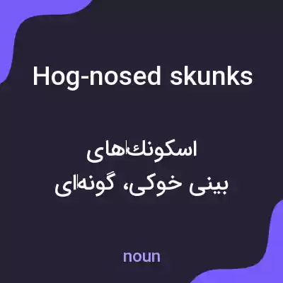 معنی hog-nosed skunks به فارسی معنی hog-nosed skunks به فارسی