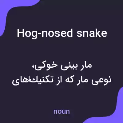 معنی hog-nosed snake به فارسی معنی hog-nosed snake به فارسی