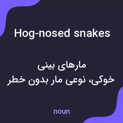 معنی hog-nosed snakes به فارسی معنی hog-nosed snakes به فارسی