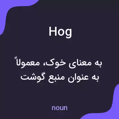 معنی hog به فارسی معنی hog به فارسی