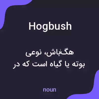 معنی hogbush به فارسی معنی hogbush به فارسی