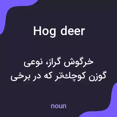 معنی hog deer به فارسی معنی hog deer به فارسی
