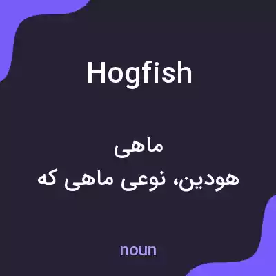 معنی hogfish به فارسی معنی hogfish به فارسی
