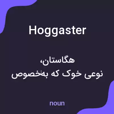 معنی hoggaster به فارسی معنی hoggaster به فارسی