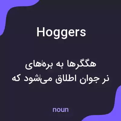 معنی hoggers به فارسی معنی hoggers به فارسی