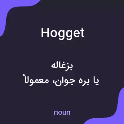 معنی hogget به فارسی معنی hogget به فارسی