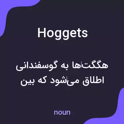 معنی hoggets به فارسی معنی hoggets به فارسی