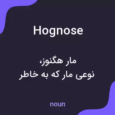 معنی hognose به فارسی معنی hognose به فارسی