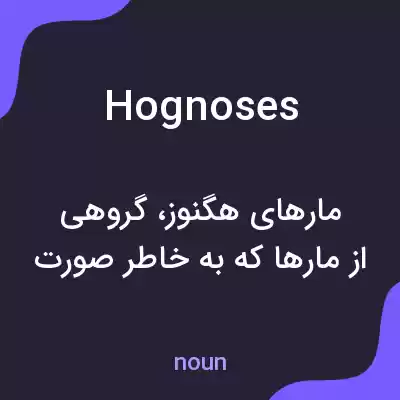 معنی hognoses به فارسی معنی hognoses به فارسی