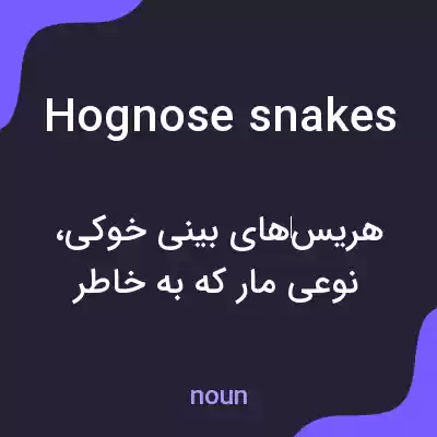 معنی hognose snakes به فارسی معنی hognose snakes به فارسی