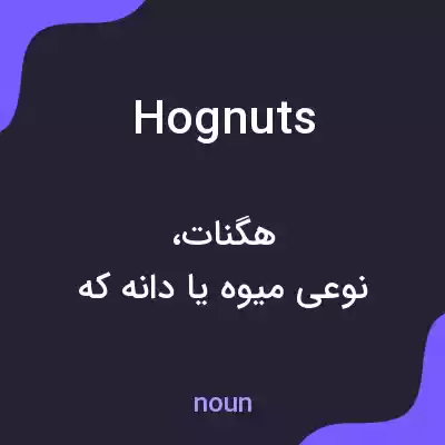 معنی hognuts به فارسی معنی hognuts به فارسی