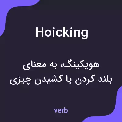 معنی hoicking به فارسی معنی hoicking به فارسی