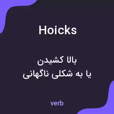 معنی hoicks به فارسی معنی hoicks به فارسی