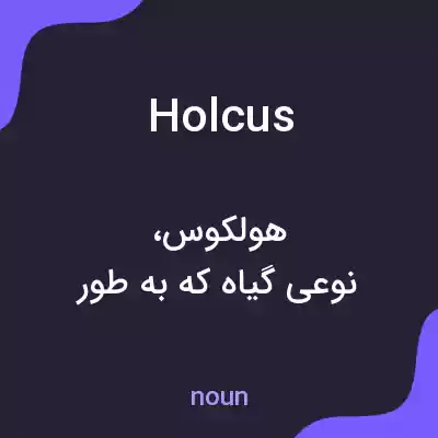 معنی holcus به فارسی معنی holcus به فارسی