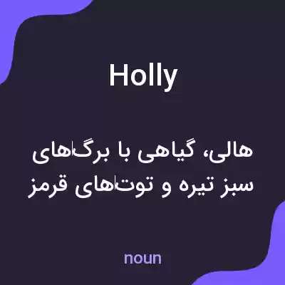 معنی holly به فارسی معنی holly به فارسی