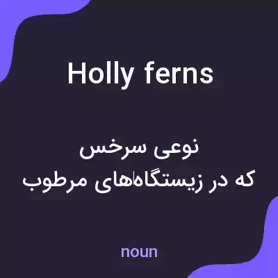 معنی holly ferns به فارسی معنی holly ferns به فارسی