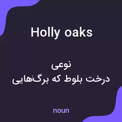 معنی holly oaks به فارسی معنی holly oaks به فارسی
