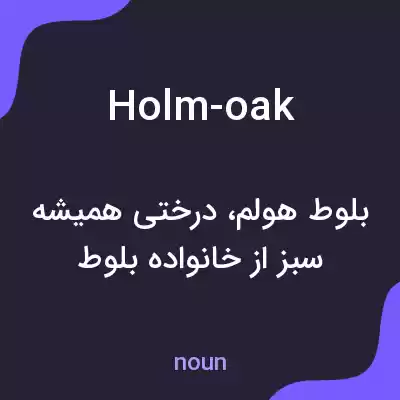 معنی holm-oak به فارسی معنی holm-oak به فارسی