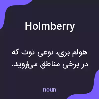 معنی holmberry به فارسی معنی holmberry به فارسی