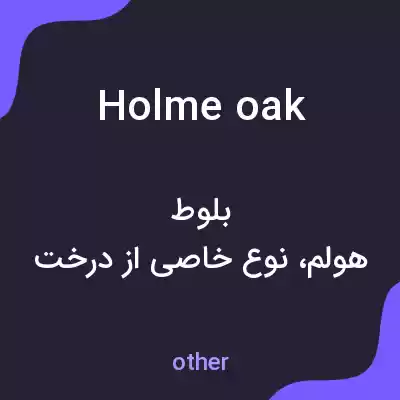معنی holme oak به فارسی معنی holme oak به فارسی