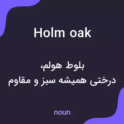 معنی holm oak به فارسی معنی holm oak به فارسی