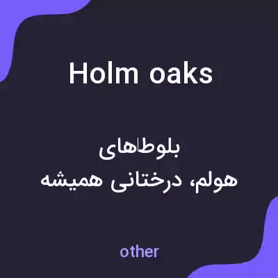 معنی holm oaks به فارسی معنی holm oaks به فارسی