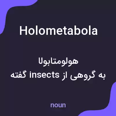 معنی holometabola به فارسی معنی holometabola به فارسی