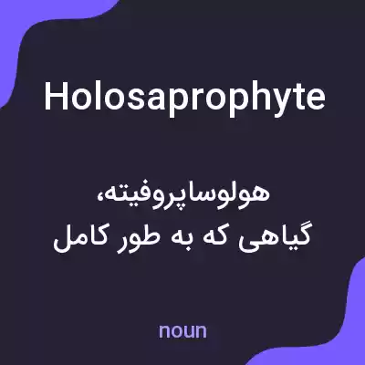 معنی holosaprophyte به فارسی معنی holosaprophyte به فارسی